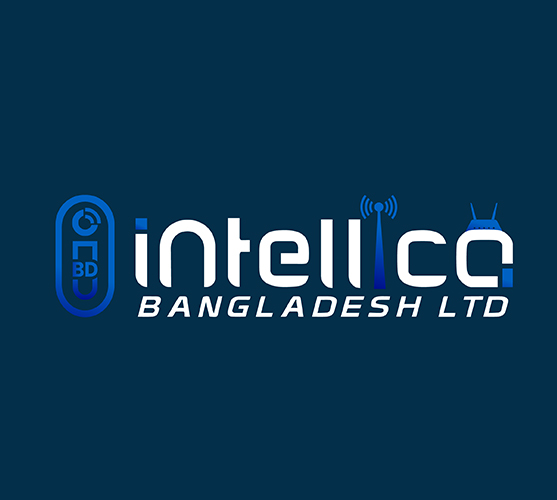 Final Logo Presentation and Display