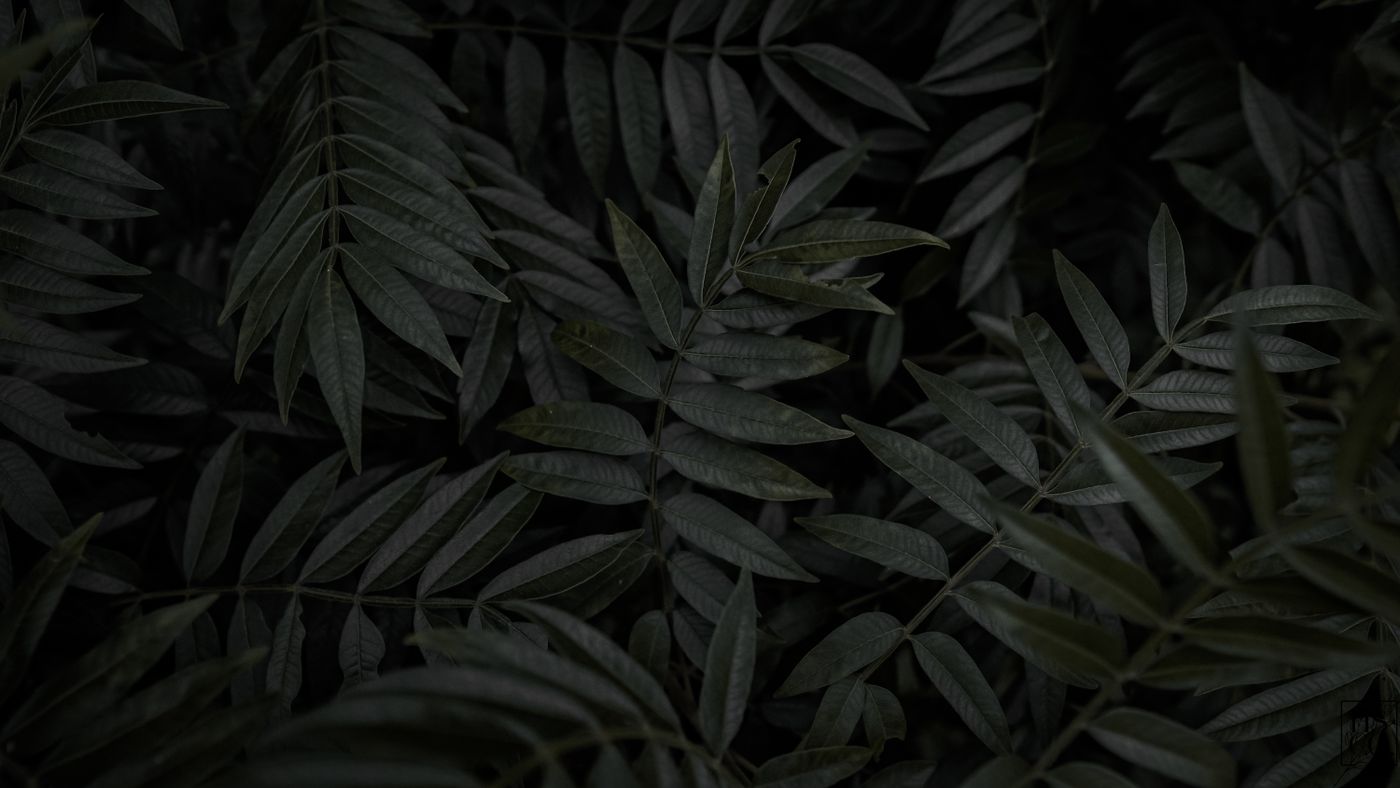 B2C Solutions